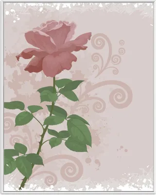 Produktbild von Wallario Wandbild Rose in Pastellfarben gezeichnet, Größe: 40,30 x 50,30 cm, Poster mit weißem Aluminiumrahmen
