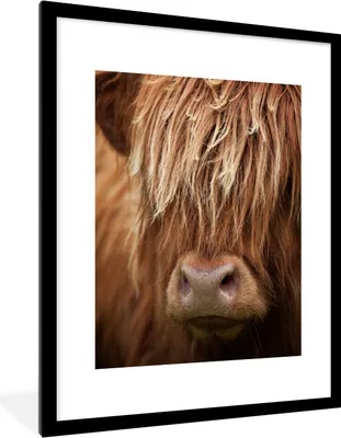 Produktbild von MuchoWow® Gerahmtes Poster Schottische Highlander-Kuh - Nahaufnahme 60x80 cm - Poster mit Schwarzem Bilderrahmen Wandposter Rahmen Foto Bilder - Wohnzimmer - Dekorationen - Prämie