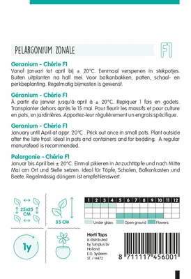 Produktbild von Pelargonie Chérie F1 Salmon | Blumensamen von Hortitops