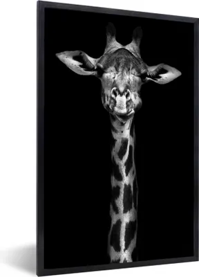Produktbild von MuchoWow® Gerahmtes Poster Giraffe - Porträt - Tiere - Schwarz - Weiß 20x30 cm - Poster mit Schwarzem Bilderrahmen Wandposter Rahmen Foto Bilder - Drucken - Bilder Poster im Rahmen