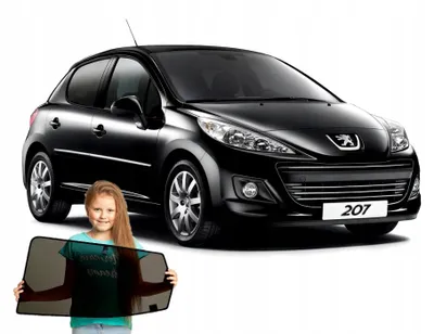 Produktbild von RayStop Sonnenschutz Peugeot 207 5-türig Magnetisch