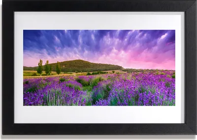 Produktbild von Bild 30x20 MDF-Rahmen Wandkunst Wiese Blumen Berge Natur