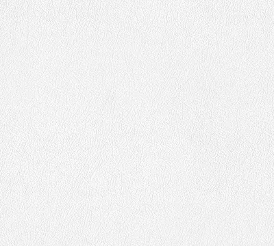 Obrázek produktu pro Netkaná tapeta Architects Paper Pigment Classic, bílá, malovatelná, 10,05 m x 0,53 m, 928818, 9288-18