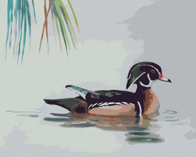 Produktbild von Zuty - Malen nach Zahlen - ENTE AUF DEM WASSER (D. RUSTY RUST), 40x50 cm, mit Keilrahmen (bereits gespannt)