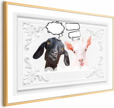 Produktbild von Posterpapier Poster - Funny Goats 60x40 cm Tiere g-C-0104-ao-a