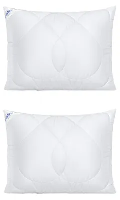 Productafbeelding van nanoSPACE set van 2 kussens met bolletjes, met rits, nanoSPACE, 30x40 cm, 300 gram