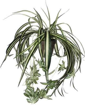 Image de Mica Decorations Chlorophytum Plante artificielle dans pot de fleur Stan - H45 x Ø45 cm - Vert