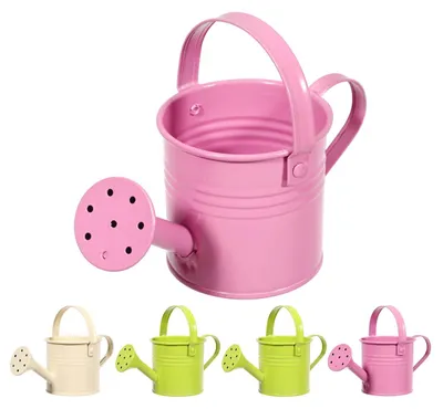 5 Gießkannen aus Eisen, verzinkt, 15 cm, für Pflanzen