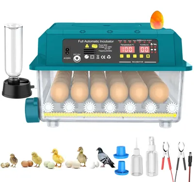 Produktbild von Brutmaschine für 36 Eier - Automatische Wasserauffüllung - Temperaturregelung - Für Hühner, Enten und Wachteln - Für den Hausgebrauch