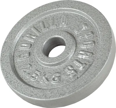 Produktbild von GORILLA SPORTS® Hantelscheiben - 2,5 kg Gewichte, 30/31 mm, Gusseisen, Silber - Gewichtsscheiben, Bumper Plates