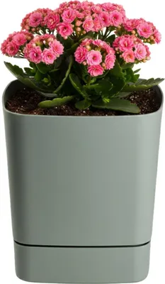 Image de HowHomely | Cache-pot - Pot de fleurs avec soucoupe - gris-vert - 19 x 19 cm - en matériau recyclé - Pot de fleurs - Pratique