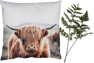 Produktbild von MuchoWow® Zierkissen Sofakissen Wohnzimmer Dekokissen 40x40 cm Schottisches Hochlandrind - Berg - Hoorn - Foto Kissen - Schlafzimmer Dekoration