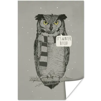 Produktbild von MuchoWow® Poster Eule - Winter - Schal - Nacht 60x90 cm - Wanddekoration