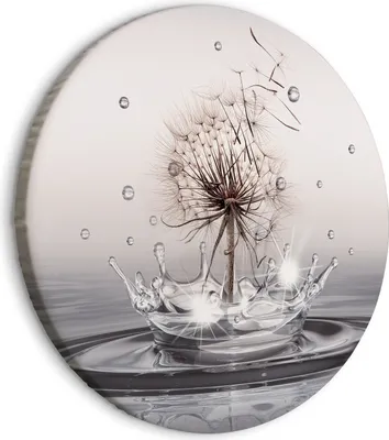 Produktbild von Runde Bilder 80x80 cm Pusteblume Leinwandbild 1 tlg Kunstdruck modern Wandbilder XXL Wanddekoration Design Wand Bild Natur Wassertropfen Blumen Löwenzahn b-C-10195-bc-a