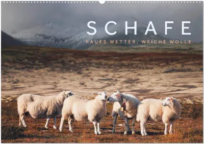 Produktbild von Schafe - Raues Wetter, weiche Wolle (Wandkalender 2026 DIN A2 quer), CALVENDO Monatskalender