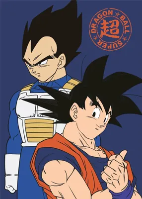 Produktbild von Dragon Ball Fleecedecke 100x140cm