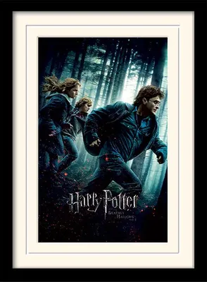 Produktbild von Pyramid International MP10688P, 1 Stück(e), Wizarding World, Rechteck