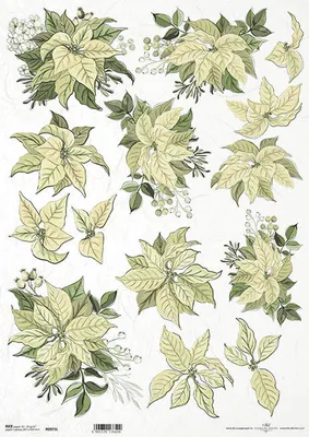 Image de ITD papier de riz découpage papier de bricolage A3 étoile de Noël 0975L