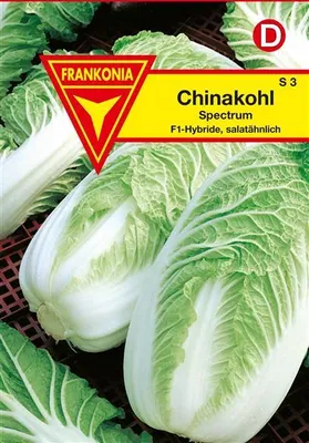 Produktbild von Chinakohl Spectrum F1