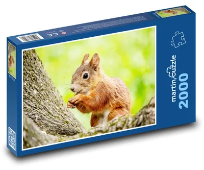 Zdjęcie produktu dla martinpuzzle - Puzzle 2000 - Veverka