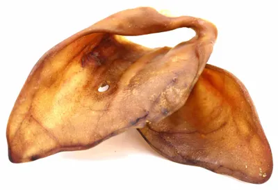 Produktbild von Schweineohren getrocknet XXL 100 Stück Hundesnack Kausnack Hundeleckerlie getreidefrei für Hunde natürlich ohne Zusätze