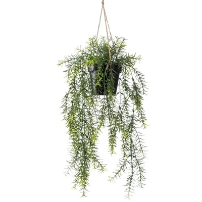 Produktbild von Emerald Kunstpflanze Asparagus Busch Hängend im Topf 50 cm