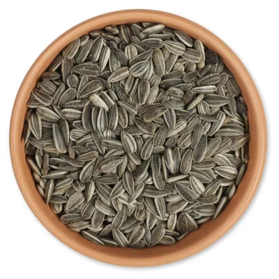Produktbild von Gifts4Nature - 20kg Gestreifte Sonnenblumenkerne