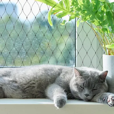 Produktbild von Katzennetz - Katzengitter - Katzennetz Balkon - Katzen Netz - Katzen Gitter