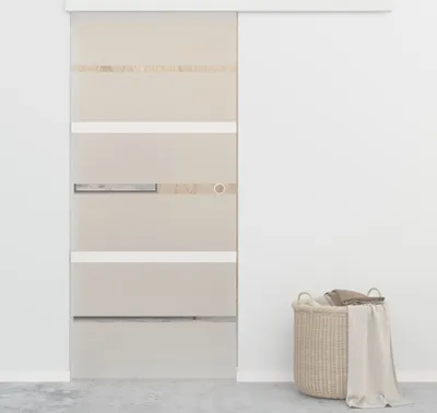 Produktbild von The Living Store Schiebetür ESG-Glas und Aluminium 90x205 cm Silbern