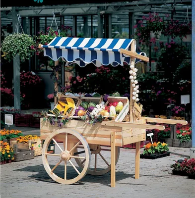 Produktbild von Marktwagen ohne Baldachin 173 x 82 x 80 cm Holz naturbelassen