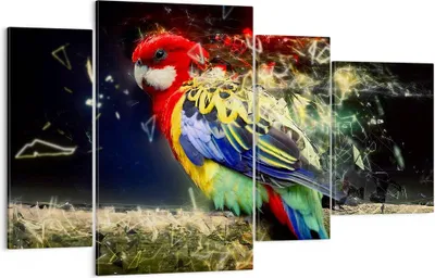Produktbild von Bild auf Leinwand - Leinwandbild - Papagei Vogel Feder - 120x70cm - Wand Bild - Wanddeko - Leinwanddruck - Bilder - Kunstdruck - Wanddekoration - Leinwand bilder - Wandkunst - DL120x70-3682