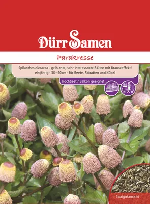 Produktbild von Parakresse | Parakressesamen von Dürr Samen