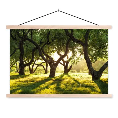Produktbild von MuchoWow® Textilposter Bäume - Natur - Sonne 120x80 cm mit holzfarbenen Rahmen - Aufhängeset