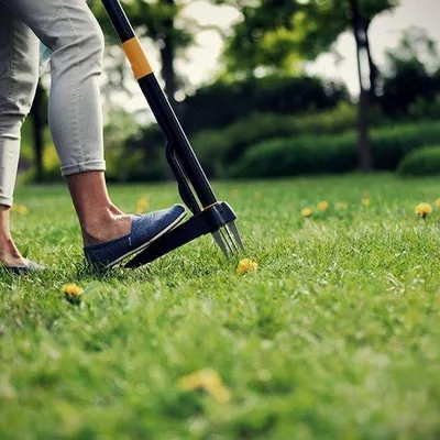 Produktbild von Famanu Unkrautstecher - Effektives Gartenwerkzeug - 100 cm