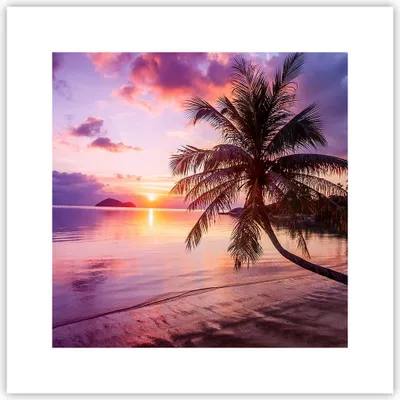 Produktbild von Poster - Poster ohne Rahmen - Strand Meer Palme - 30x30 cm - Wand Bild - Wanddeko - Wandbilder - Kunstposter - Wandposter - Bilder - Kunstdruck - Wanddekoration - Wandbild - P2XAC30x30-3912