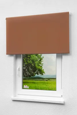 Produktbild von Lysel Outlet - Basisrollo Tageslicht Kastanienbraun, (B x H) 82.50cm x 175cm in braun/kastanienbraun