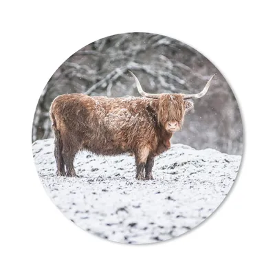 Produktbild von MuchoWow® Mauspad Mousepad Schottischer Highlander - Baum - Schnee 20x20 cm - Mousepads - Maus Mat - Pad - Mausunterlage - Schreibtischmatte