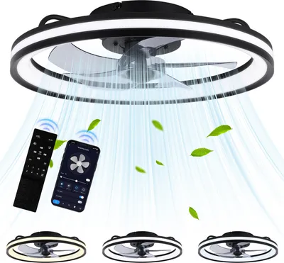 Obrázek produktu pro TolleTour LED stropní ventilátor s osvětlením a dálkovým ovládáním Stmívatelné stropní světlo ložnice obývací 48CM