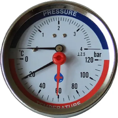 Immagine prodotto di Termomanometro 4 bar 120°C Ingresso posteriore 1/2"