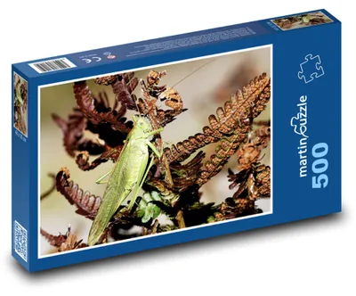 Obrázek produktu pro Puzzle 500 Zelené saranče na rostlině - martinpuzzle