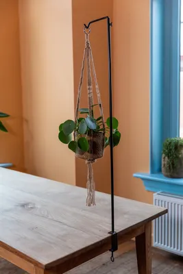 Produktbild von Dekohänger Esschert’s Garden metall schwarz