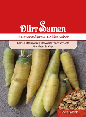 Produktbild von Futtermöhre Lobbericher | Futtermöhrensamen von Dürr Samen