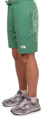 Produktbild von THE NORTH FACE – Sportliche Shorts für Herren mit doppeltem Logo – Größe XS