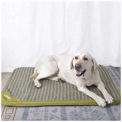 Produktbild von Hundematte Orthopädisches Hundebett Memoryschaum Waschbar Grün XL 72x53x4cm