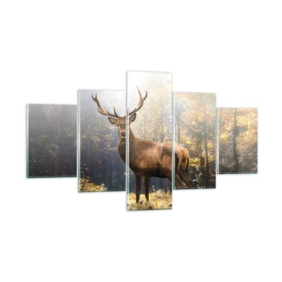 Produktbild von Bilder auf glas - 5 Teile - Licht Hirsch Wald - 125x70cm - Glasbilder - Wandbilder - Bilder - zum Aufhängen bereit - Wanddekoration aus Glas - Glas Bilder - Wandbild auf Glas - GEA125x70-4452