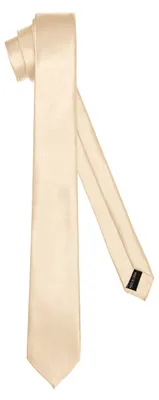 Produktbild von Klassische Herren Krawatte glänzend Vielfältige Farben TMS-5 150cmx5cm