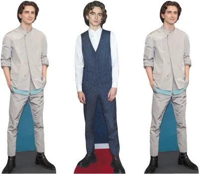 Immagine prodotto di Timothee Chalamet - Set di 3 decorazioni da tavola