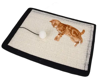 Image de Planche à gratter pour chat - Coussin en sisal pour les griffes