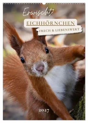 Produktbild von Erwischt! Eichhörnchen (Wandkalender 2027 DIN A2 hoch), CALVENDO Monatskalender