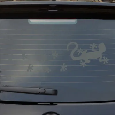 Produktbild von Heckscheibenaufkleber Gecko Tapsen Echse Dragon Lurch Agame Fußspuren 55x25 cm Grau Auto Aufkleber Sticker
